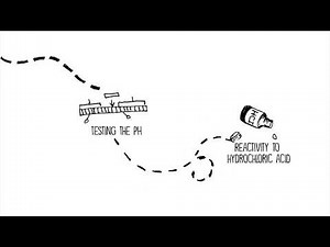 Middle School Science STEM Challenge - Mystery Powder