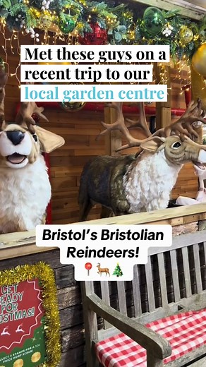 Visited the 'Bristolian Reindeer Wash' at @almondsburygardencentre? 🧼🦌 Almond & Brie have got a lot to say! 😂 #smn | Secret Bristol