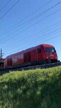 The Train Cargo ÖBB in Rankweil, Austria 🇦🇹 #cargo #train #railway #siemens #zug #shorts #video
