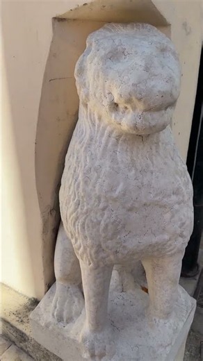 A 13th-Century Venetian Lion Hidden in Izola 🦁🇸🇮 #Shorts