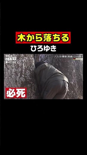 ひろゆき、木から落ちる。 #shorts #世界の果てにひろゆき置いてきた #ひろゆき #西村博之 #東出昌大 #ABEMA #ひろゆき切り抜き #高橋弘樹 #アフリカ ‪@hirox246‬