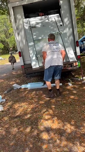 Ask about our HVAC Services, Ice Machines, Refrigerated Trucks, Walk-In Coolers & Freezers! Mr. Ice Inc. Operates from Spring Hill and Services Hernando, Pasco, Pinellas, and Hillsborough counties. We are licensed and insured in Florida. Mr. Ice has been in business since 1975. We are 3 generations strong. Proud of our workmanship and quality of service. ☎ 813.380.1985 🛜www.mriceinc.com 📨lil_ice3@yahoo.com 📍 17704 Galveston St, Spring Hill, FL 34610 ⏰(OFFICE HOURS) M-F: 8a-5p | Mr. Ice, Inc.