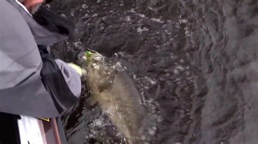 EVERYTHING You Need To Know About Spinnerbaits | BassFishingHQ