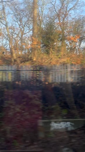 Went to @tate today thinking Tracey Emin is open but it’s actually next month 😅 Never mind, I got to see some amazing art and I feel very inspired. It’s so nice to see so many collages at Tate :) also grabbed @monmouthcoffee and it’s totally worth the hype! ❤️🙏🏻✂️. . . #tate #exhibition #collage | Artistic Side Of Life