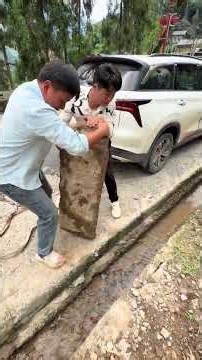 Doing A Good Deed Warms People's Hearts #funny#kindness #humanity #help