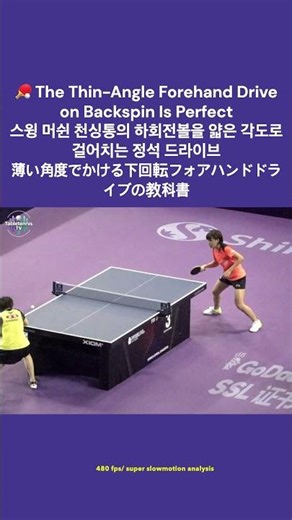 🏓 The Thin-Angle Forehand Drive on Backspin Is Perfect 하회전볼을 얇은 각도 정석 드라이브