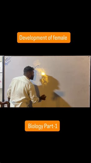 🇵‌🇮‌🇴‌🇳‌🇪‌🇪‌🇷‌ 🇨‌🇱‌🇦‌🇸‌🇸‌🇪‌🇸‌ 🇳‌🇹‌🇼‌ | Development 1. Megaspore Mother Cell (MMC) undergoes meiosis. 2. Four haploid megaspores are formed. 3. Three megaspores degenerate, and... | Instagram