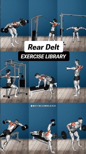 Top 9 Rear Delt Exercises for Massive Shoulders | Rear Delt Workout Guide