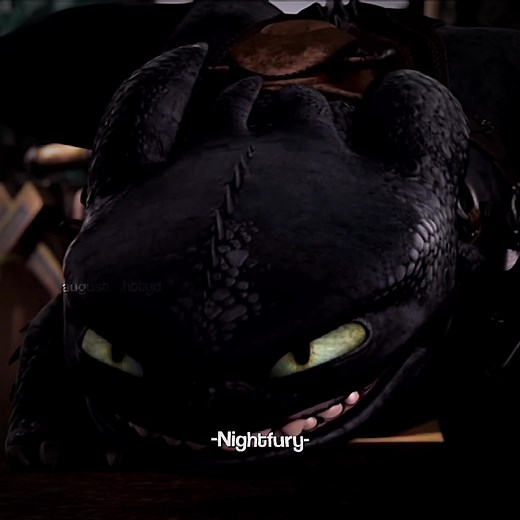 Who would you want to train? #nightfury #deadlynadder #stormcutter #dragons #httyd #fy @