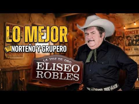 🎯 Mix de Eliseo Robles – Hits de Norteño y Grupero