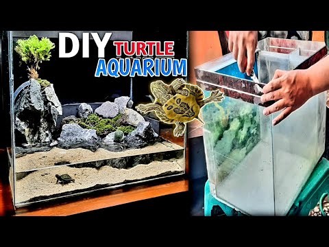 Transform A Broken Aquarium Into A Beautiful Turtle Aquarium Ecosystem