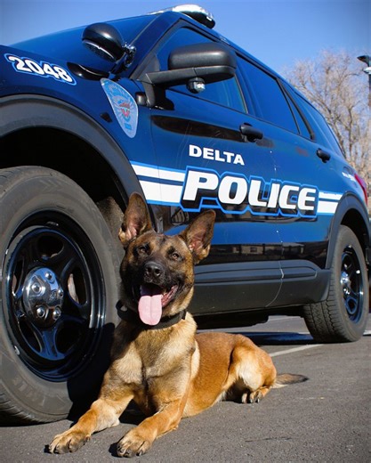 Delta Police Department welcomes new Dual Purpose K9