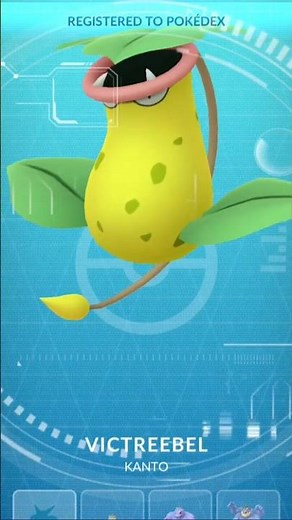 Weepinbell Evolution #pokemongo #pokemon #niantic #weepinbell #evolution #victreebel #kanto