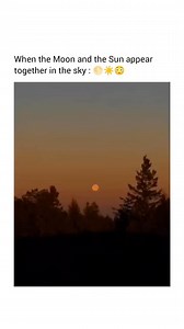 When the sun and moon appear together in the sky, it’s known as a syzygy. 🌞🌕 During this phenomenon, the moonrise and sunset align, creating a stunning view. This is most likely to occur during the spring and fall equinoxes when the moonrise is closest to due east and the sunset to due west. The event is breathtaking, and here’s why: 1. The moon is full or nearly full 2. The moon is in opposition to the sun 3. Earth’s rotation aligns the moonrise with the sunset Follow @thegalacticvoid for mor