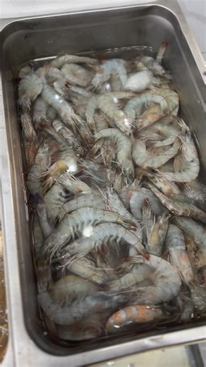 14K views · 534 reactions | الاثنين | مارينا للأسماك والرخويات | Facebook