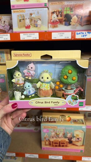 Cutest new arrival 🍊 #sylvanianfamilies #fypシ #sylvanianfamily #smallbusiness