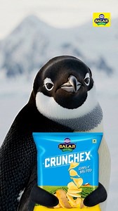 Arey Penguin bhai chips khane jaa rahe the… aap bhi try karo🐧 [Balaji Snacks, Wafers, Penguin, Crunchex] | Balaji Wafers