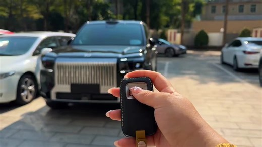 Zeekr 9x: 高质量中国汽车