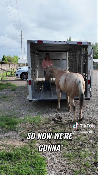 Handle HUGE Animals Like a PRO No Force Needed! 💪 #horse #Utah #ridinglessons @lexy2014
