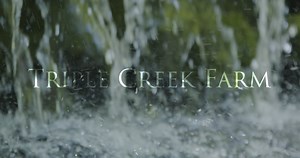 230K views · 342 reactions | Experience Triple Creek Farm. 3,876 acres in Franklin, Tennessee, USA. One of the fastest growing areas of the Country. Beautiful property with multiple streams and huge investment potential. Will sell in smaller tracts. | McEwen Group Real Estate | Facebook