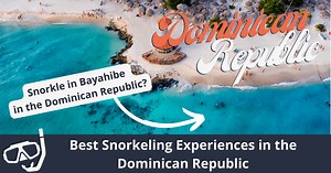 Top 10 des meilleurs endroits pour faire du snorkeling en République dominicaine | ISM