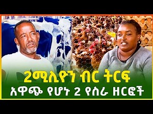 በአንድ ግዜ 2 ሚሊዮን ብር ትርፍ | እጅግ በጣም ትርፋማ ስራ | business business | business | Ethiopia | Gebeya