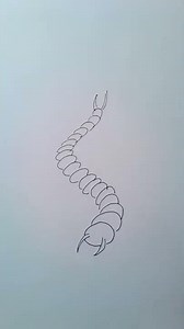 How to draw centipede
