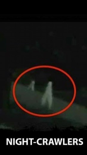 Legend of the Fresno Nightcrawlers | Terrifying Earth