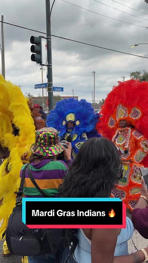 Mardi Gras Indians: A Celebration of Culture