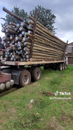 #CapCut #kenyantiktok🇰🇪 #kenya #tanzaniatiktok🇹🇿