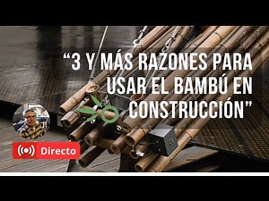 “3 y más razones para usar el bambú en construcción”