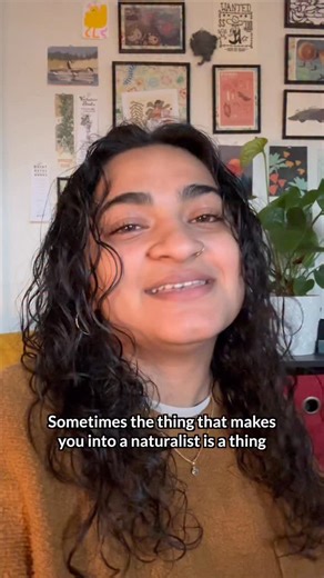 The final episode of “The Living Thing That Started It All,” a short series where we’re talking about the living things that made us love all other living things. Meet Jane Weeden, who went to a moth-centric event that changed everything for her. Have you ever had a similar experience? 👀✨ | iNaturalist.org