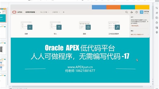 Oracle APEX编程培训-不写代码实现两个应用程序17
