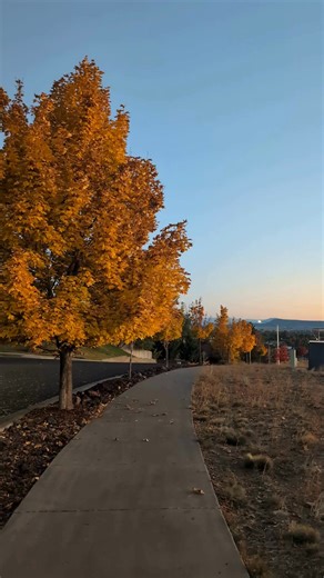 Fall in Klamath Falls has this quiet kind of magic. The mornings are crisp, the aspens glow gold, and the hills of Hogsback catch the sunset in a way that stops you in your tracks. 🍁 It’s that time of year when coffee tastes better on the porch, trails feel peaceful again, and the Klamath Basin slows down just enough to remind you why you love it here. If you’ve been craving a reset, maybe a weekend near Crater Lake, a peaceful retreat at one of our cabins, or a cozy stay at the Running Y Resor