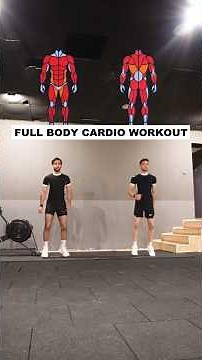 Full body cardio workout at home no equipment 🔥✅ #fullbody #cardio #cardioworkout #homeworkout