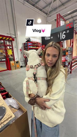 Renovating House: Busy Day Home Renovation Vlog