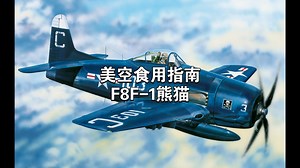 F8F-1熊猫究竟是怎样的飞机？是美空大队的饲料靶机，还是非常恐怖的开团神器？