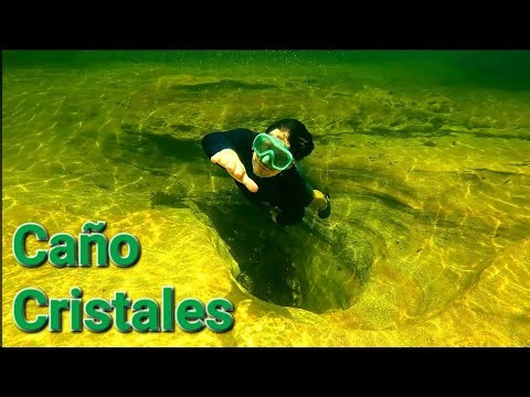 Caño Cristales Mi experiencia nadando en los hermosos charcos y piscinas naturales de La Macarena