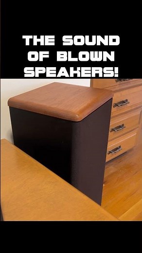 What Do Blown Speakers Sound Like - It's Not Good #shorts #technology #tech