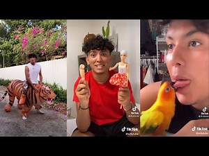 WillyTube All 2021-2022 Tik Tok - Try Not To Laugh Watching WillyTube TikTok