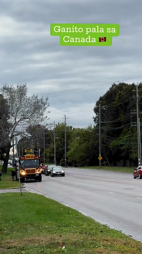 237K reactions · 16K shares | One thing that amazes me here in Canada: when a school bus stops, all vehicles from both sides have to stop too!  They only move again when the bus turns off its stop sign. Safety at its best!  | EMazing Journey in Canada | Facebook