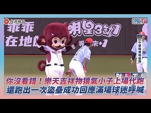 中職明星賽／你沒看錯！樂天吉祥物猿氣小子上場代跑 還跑出一次盜壘成功回應滿場球迷呼喊｜NOWNEWS
