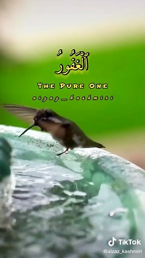 And to Allah belong the best names, so invoke Him by them.. (Quran 7:180). (ᴀsᴍᴀ-ᴜʟ-ʜᴜsɴᴀ) #islamic #islamic_video #atifaslam #cokestudio #viral #unfreezmyaccout