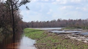 59K views · 223 reactions | AERIAL AND ON RIVER VIDEO: Gray muck is flowing into the Cape Fear River from the site of a dam breach at a Wilmington power plant where an old coal ash dump had been covered over by Florence's floodwaters. --> https://bit.ly/2znPQlQ | WECT News | Facebook
