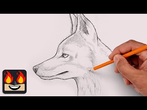 How To Draw a Coyote | Sketch Tutorial