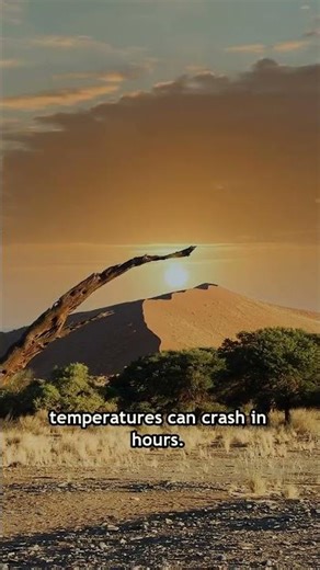 The Desert That Turns Icy Overnight