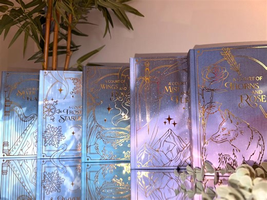 ACOTAR Rebound Hardback Books by Sarah J Maas (A Court of Thorns and Roses) - Etsy