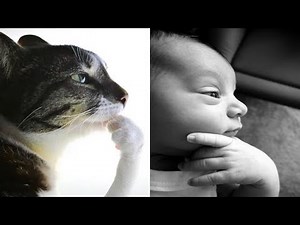 Hmm Click Click Click Click 🤔