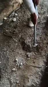 Digging In Under Stone 🪨 Metal #viralreels #metaldetecting #goldhunting #dowsingrods #metalhunting | Gold Field Hunting