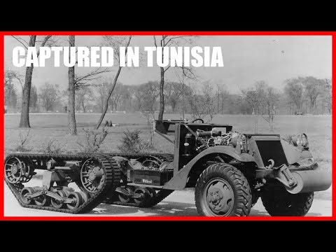 German Engineers Captured a Half Track — And Realized Why the Americans Were Winning